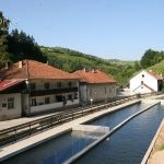 ljubis