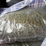 Marihuana 27