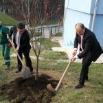 Pora Harbin 9