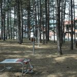Skojevski park 2