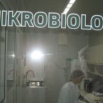 Sirogojno laboratorija 2
