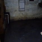 djetinja projekat fekalije