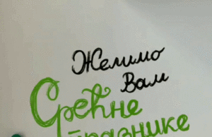 SREĆNA NOVA GODINA!!!