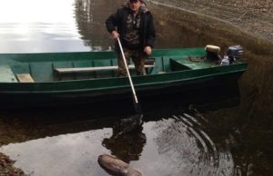 Uginula srna u Vrutcima