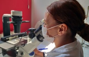 Prva evidencija kvaliteta vode