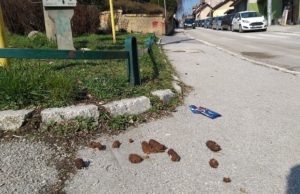 Nisu krivi psi, već ljudi