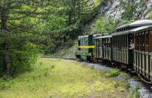 Počela „ćirina“ sezona