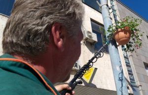 Briga za cvetnice na glavnoj ulici