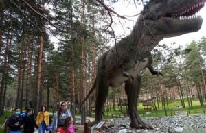 Korisnici Dnevnog boravka na izletu