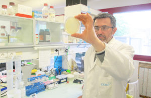 Otkrivanje “Ahilove pete” kancerogenih ćelija