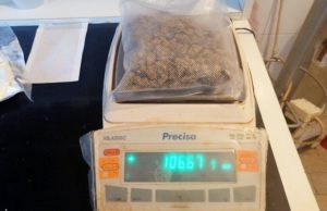 Ariljac uhapšen zbog amfetamina i marihuane