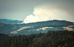 Gori 100 hektara borove šume nedaleko od manastira Uvac