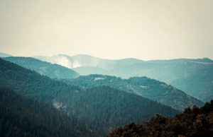 Požar u šumama na teritoriji Priboja i Nove Varoši