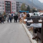 Vasar Petkovica 2021 – 3