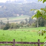 lužnička dolina 640×400