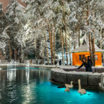 Zlatibor Jezero Labudovi