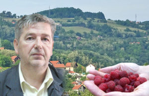 Maline i borovnice opet piju vodu