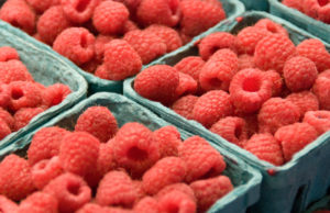 U novu sezonu sa dugovima