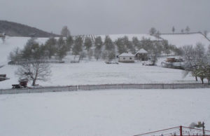 Kako vremenske (ne) prilike utiču na voće?