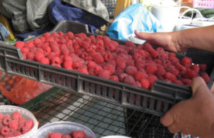 Malinari najavili blokadu saobraćajnice