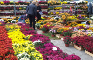 Tradicionalni vašar Petkovica na „Međaju“ u Užicu