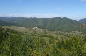 Pošumljavanje goleti u privatnom vlasništvu