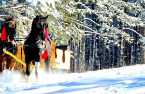 Završen foto i video konkurs „Zima na Zlatiboru“