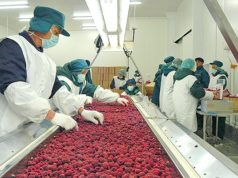 Produžen rok za odobrenje kredita za pravna lica i preduzetnike koji skladište malinu