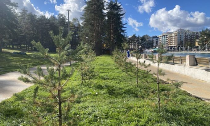 Više od 400 novih stabala u centru Zlatibora