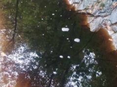 Da (ne) dišemo duboko: Turski potok je ekološki mrtav