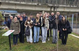 Kanadski crveni javor ponovo u Velikom parku