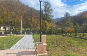 Srbija kandiduje bukove šume Fruške gore, Kopaonika i Tare za Uneskovu listu