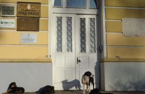 Učestale tužbe zbog ujeda pasa