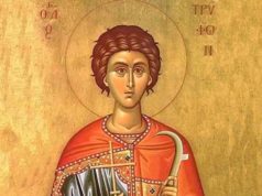 SPC i vernici sutra slave Svetog Trifuna