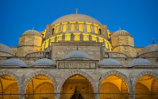 pexels-gezginbirem-36638918 (1)