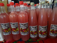 „Vitaminska bomba“ u flaši