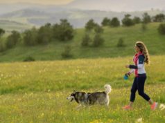 Zlatibor – destinacija prilagođena odmoru sa ljubimcima