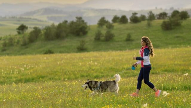 tablet_9031775465838915