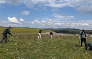 Zlatibor sve zeleniji: Posađeno 400 sadnica crnog bora u novoj akciji pošumljavanja