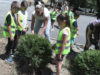 Mališani iz Sevojna posadili ukrasne tuje