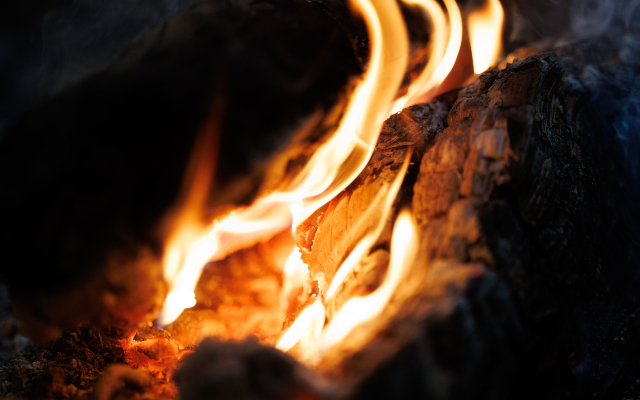 pexels-irrabagon-37259384 (1)