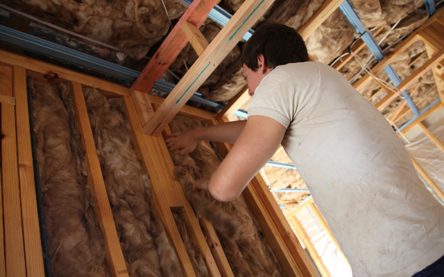 rachelw1-energy-efficient-5019261 (1)