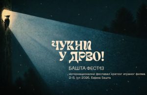 Izmene u programu „Bašta festa“, projekcije u bioskopu „Vlaja“
